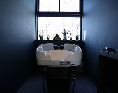 salon-image